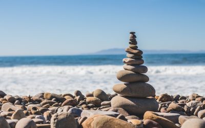 Bramacharya – Living in Nonexcess
